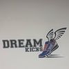 dreamkicks4u